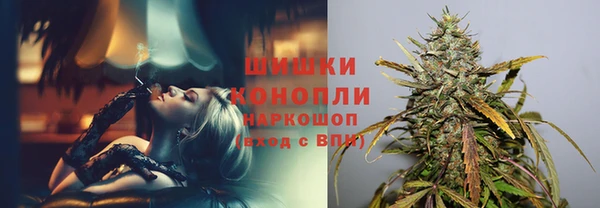 2c-b Вяземский