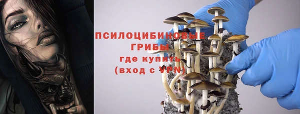 ПСИЛОЦИБИНОВЫЕ ГРИБЫ Белая Калитва