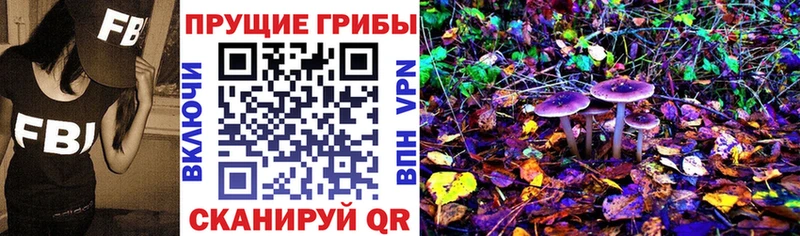 Галлюциногенные грибы Magic Shrooms  Грязовец 
