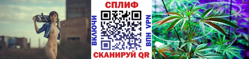 Каннабис SATIVA & INDICA  блэк спрут ONION  Грязовец  как найти закладки 